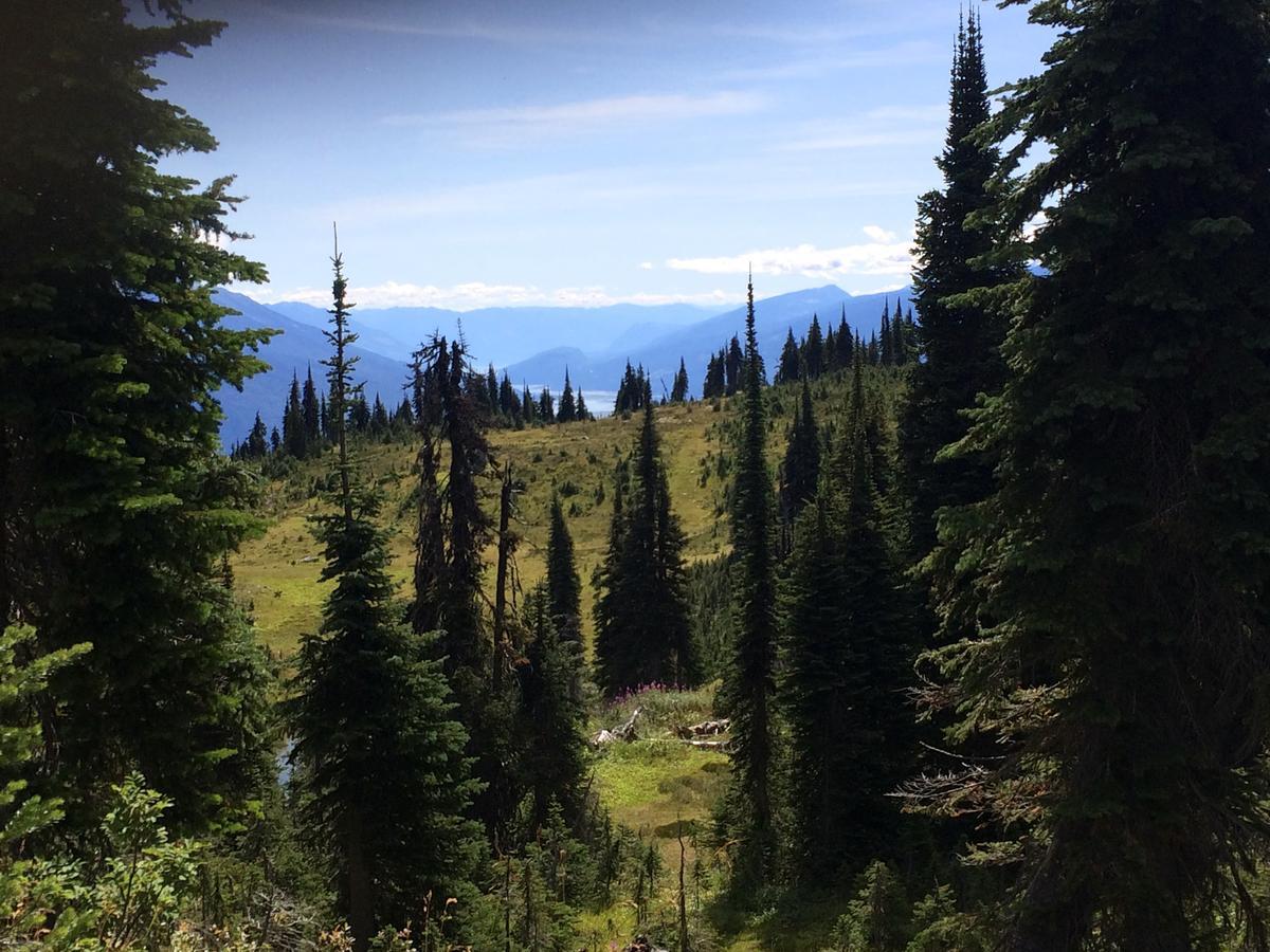 Alpenrose Revelstoke Bed & Breakfast Bagian luar foto